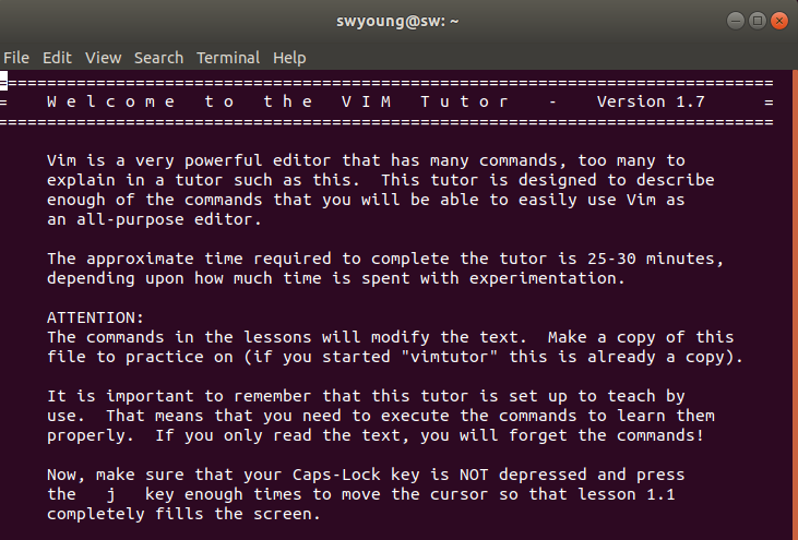 vimtutor_1